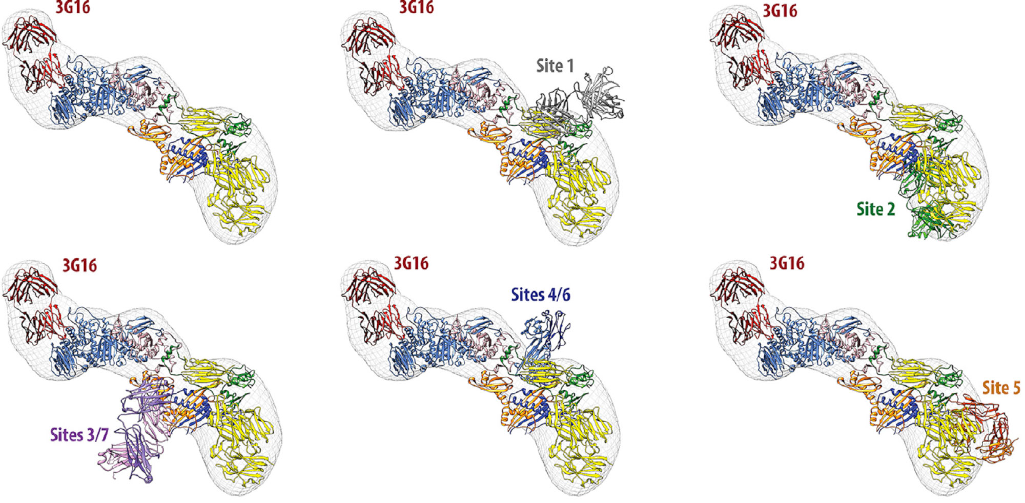 Gene Expression and Protein Production Facility