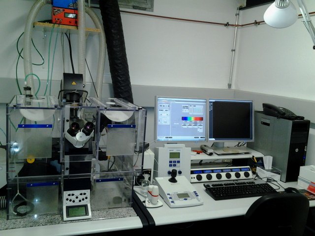 Confocal microscope:  Leica TCS SP5