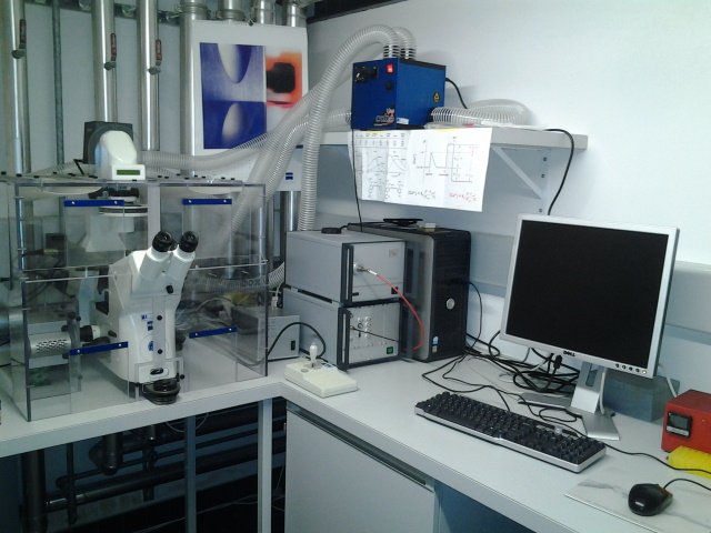 Calcium imaging workstation:

Zeiss Axiovert 200 inverted microscope