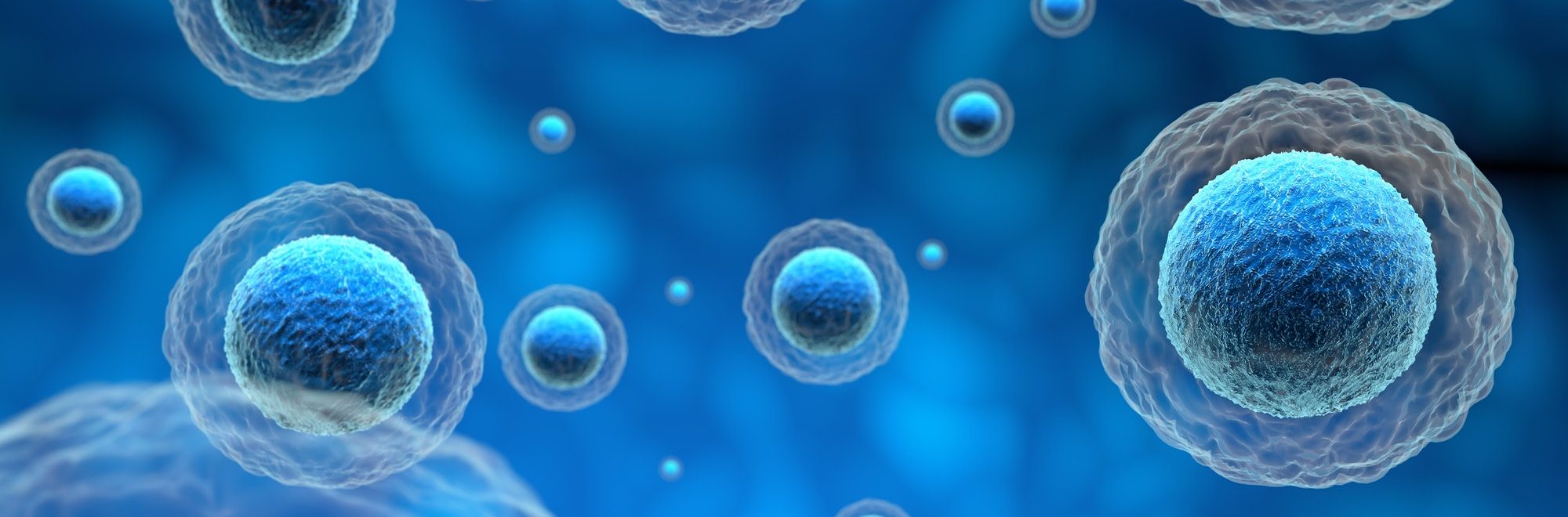 human cells in a blue background, 3d illustration